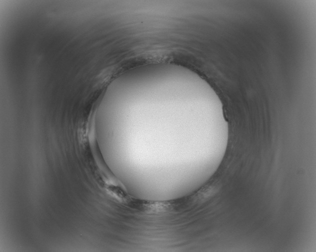 X0000062150432200512231537