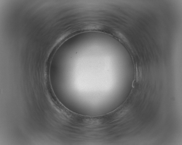 X0000062150435200512231536