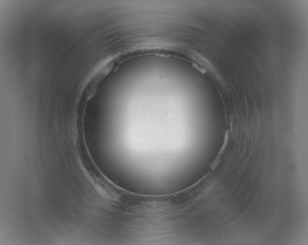 X0000062150436200512231536