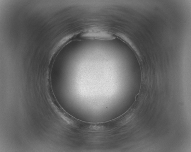 X0000062150437200512231536