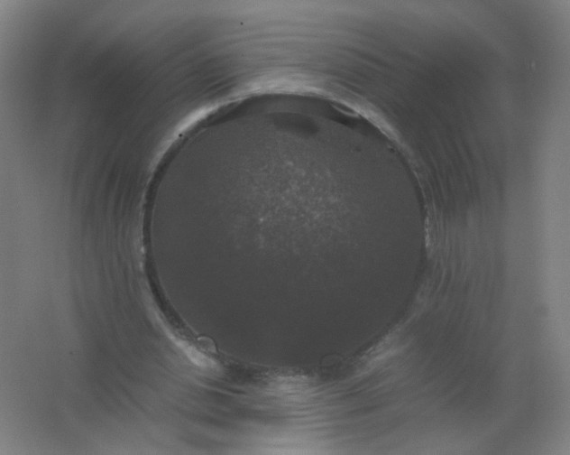 X0000062150438200512231536