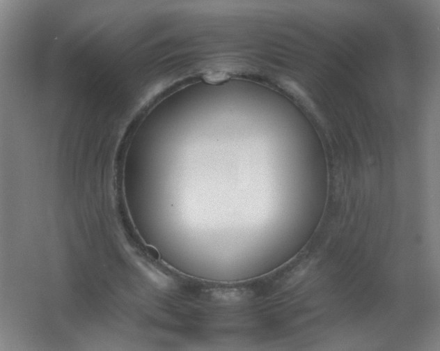 X0000062150439200512231536