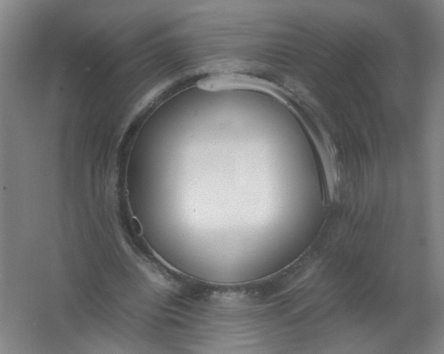 X0000062150440200512231536