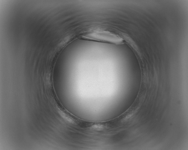X0000062150441200512231536