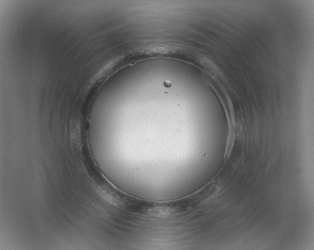 X0000062150444200512231536
