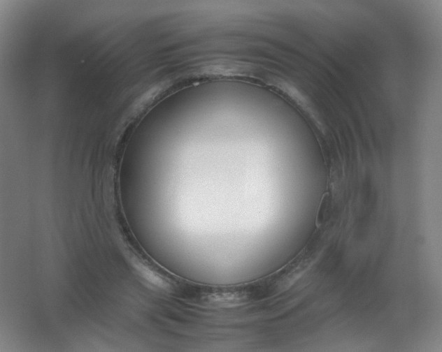 X0000062150445200512231536