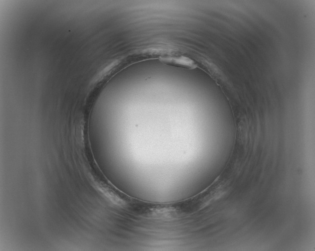 X0000062150446200512231537