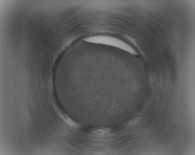 X0000062150447200512231537