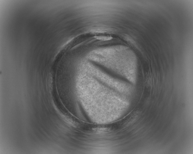 X0000062150448200512231537