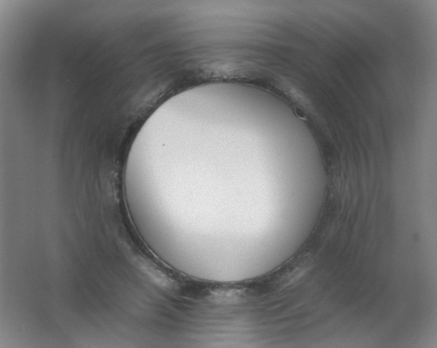 X0000062150450200512231537