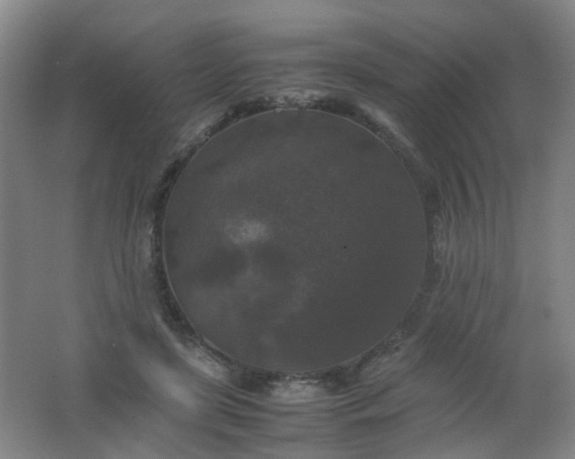 X0000062150451200512231537