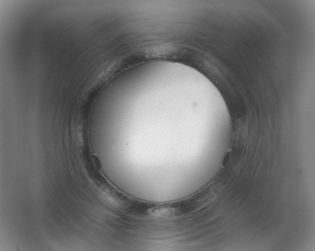 X0000062150452200512231537