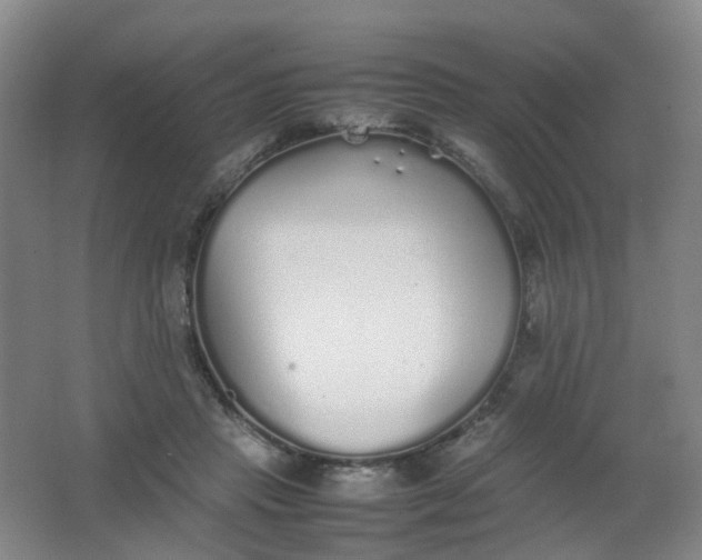 X0000062150453200512231537