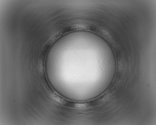 X0000062150457200512231537