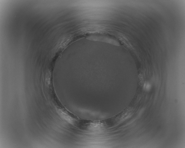 X0000062150458200512231537