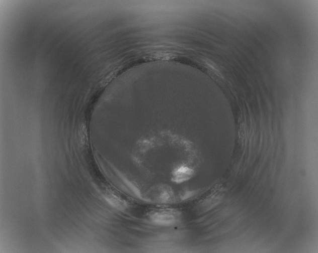 X0000062150459200512231537