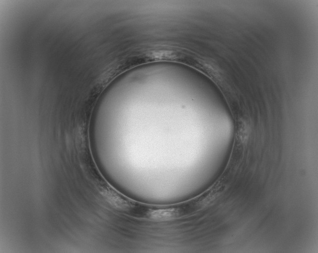 X0000062150461200512231537
