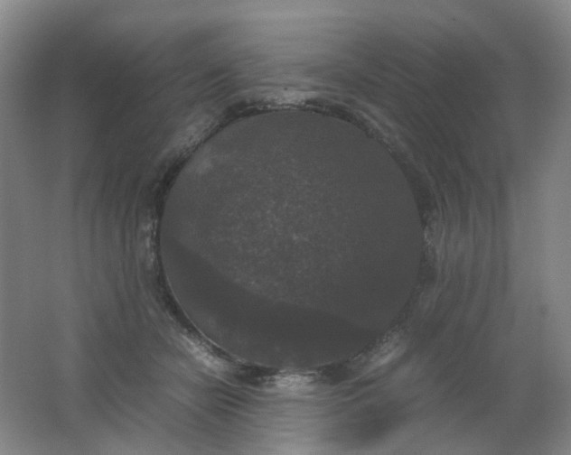 X0000062150462200512231537