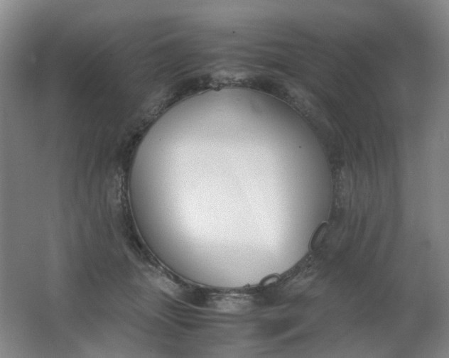 X0000062150463200512231537