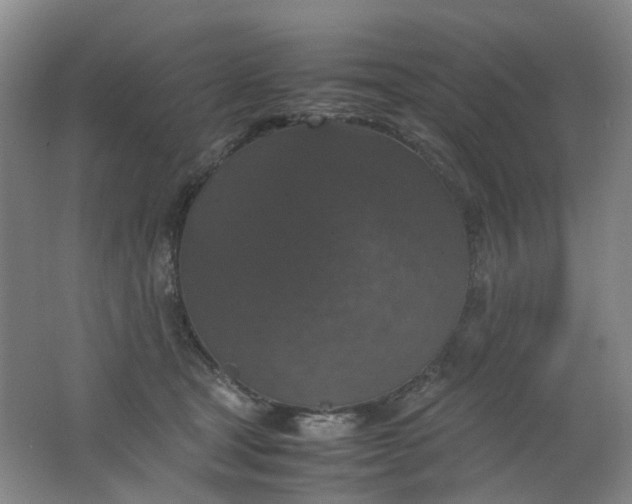 X0000062150465200512231537