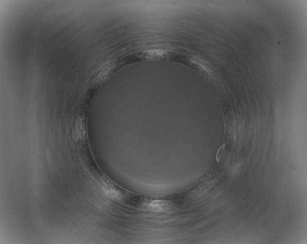 X0000062150467200512231537