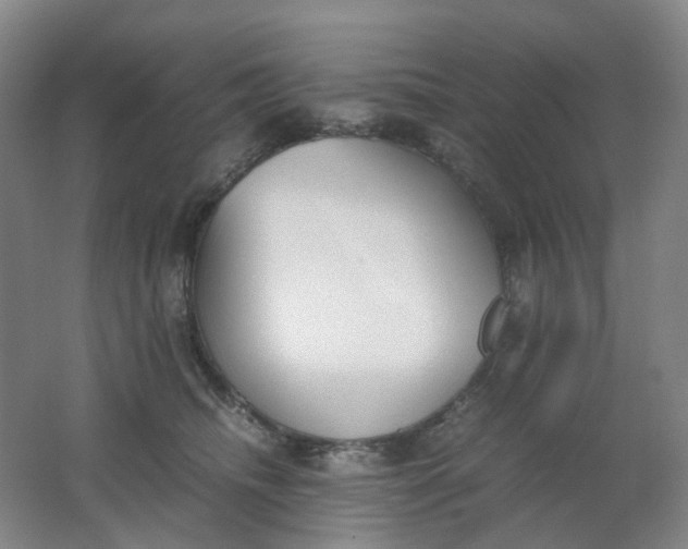 X0000062150468200512231537