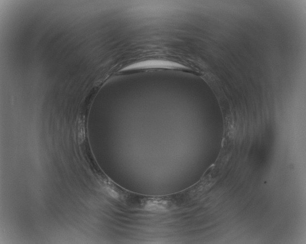 X0000062150471200512231537