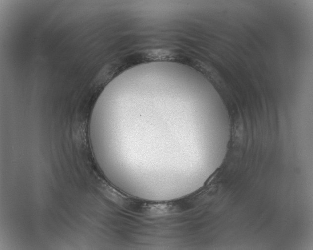 X0000062150473200512231537