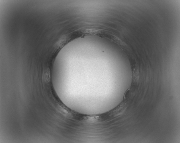 X0000062150474200512231537