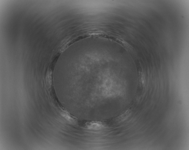 X0000062150475200512231537