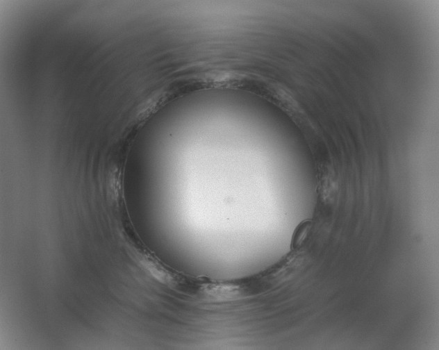 X0000062150476200512231537
