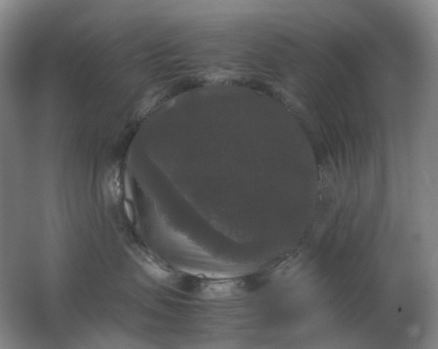 X0000062150479200512231537