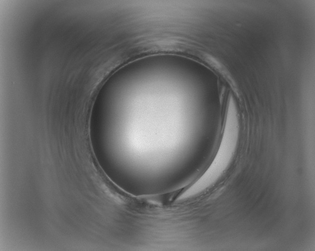 X0000062150481200512231536