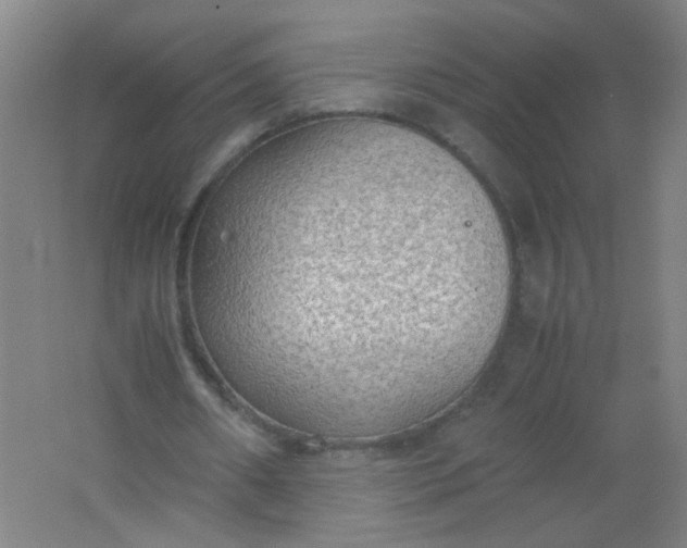 X0000062150482200512231536