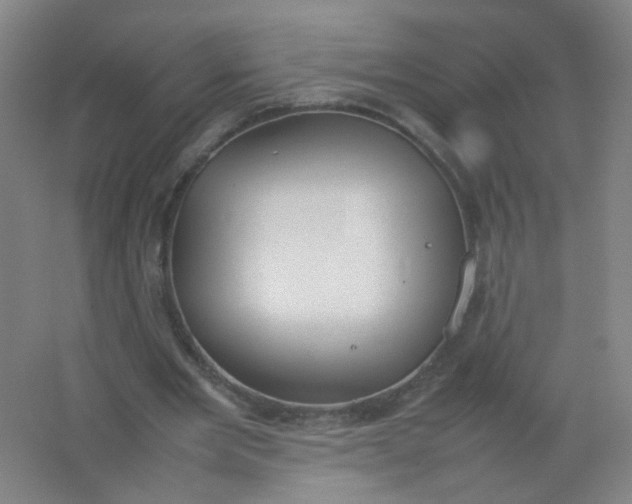 X0000062150485200512231536