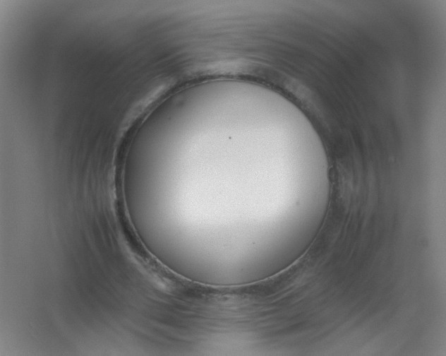 X0000062150486200512231536