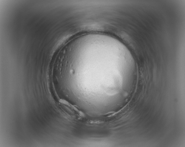 X0000062150487200512231536