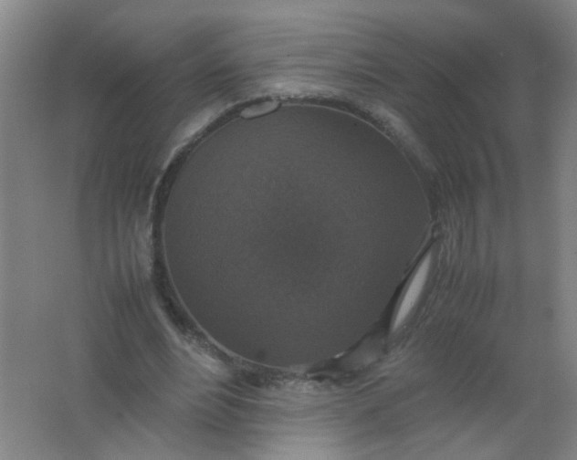 X0000062150488200512231536