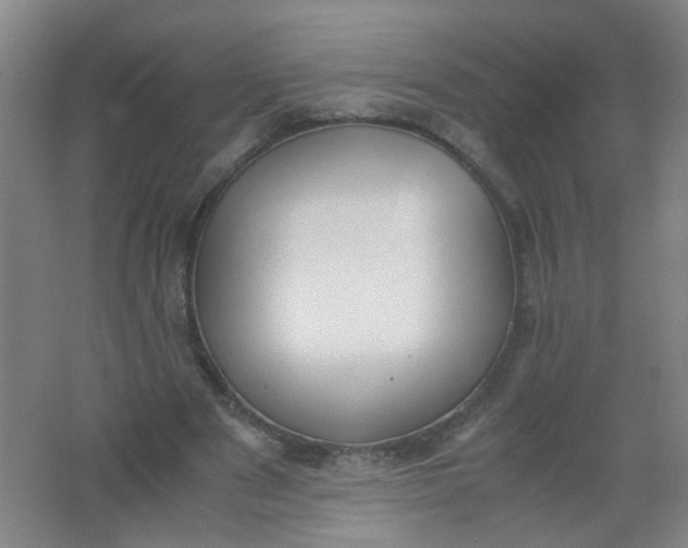 X0000062150489200512231536