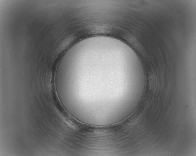 X0000062150490200512231536