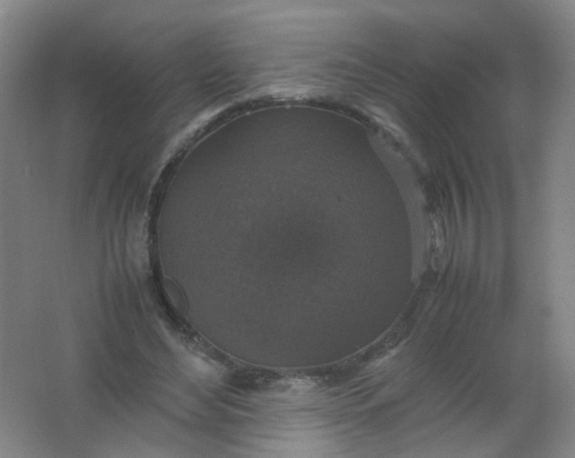 X0000062150492200512231536