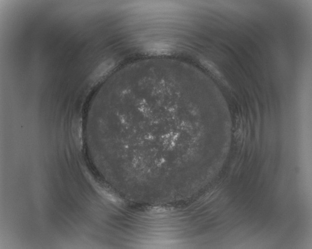 X0000062150494200512231536