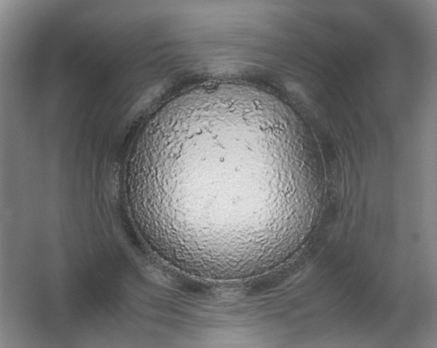X0000062150495200512231536