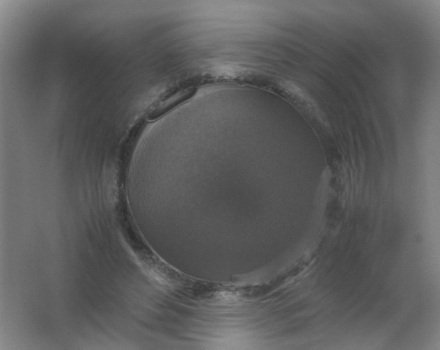 X0000062150496200512231536