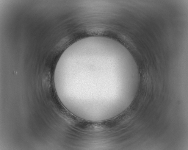 X0000062150498200512231536