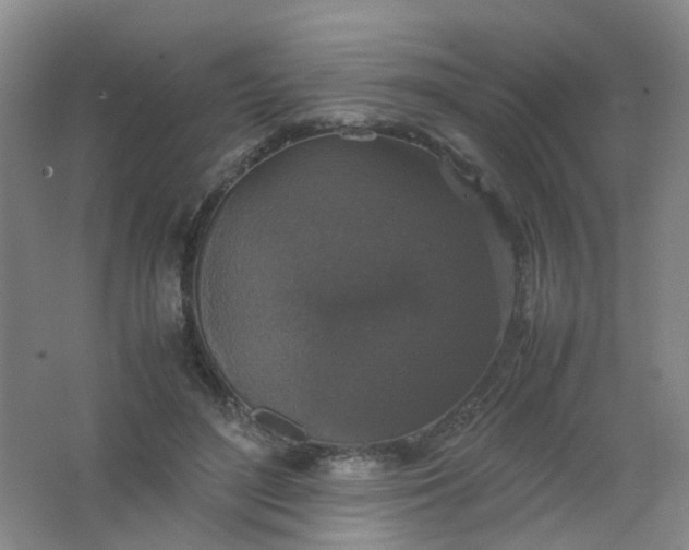 X0000062150500200512231536