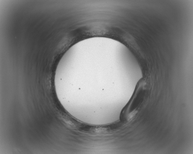 X0000062150501200512231536