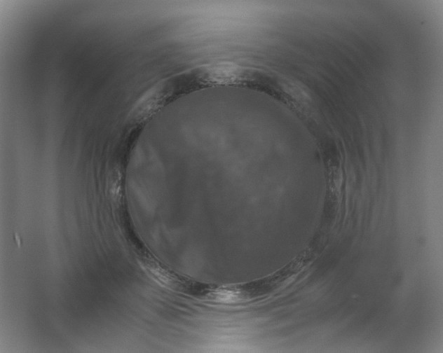 X0000062150507200512231536