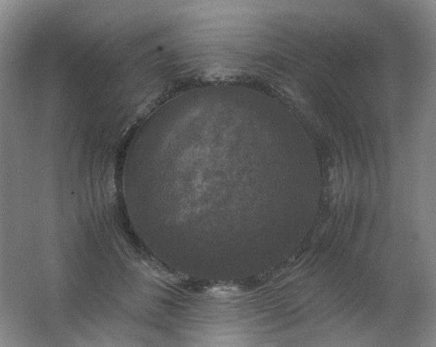 X0000062150508200512231536