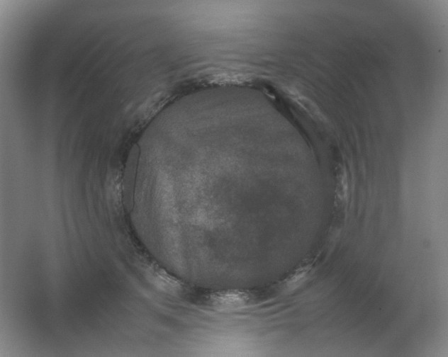 X0000062150513200512231536